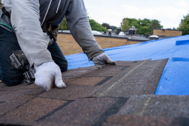 Best Shingle Roofing Installation  in White Pine, TN
