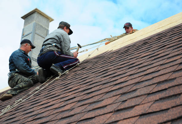 Best Emergency Roof Repair  in White Pine, TN